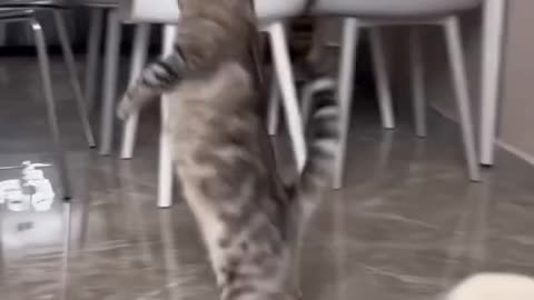 ''mom! look what i can do''