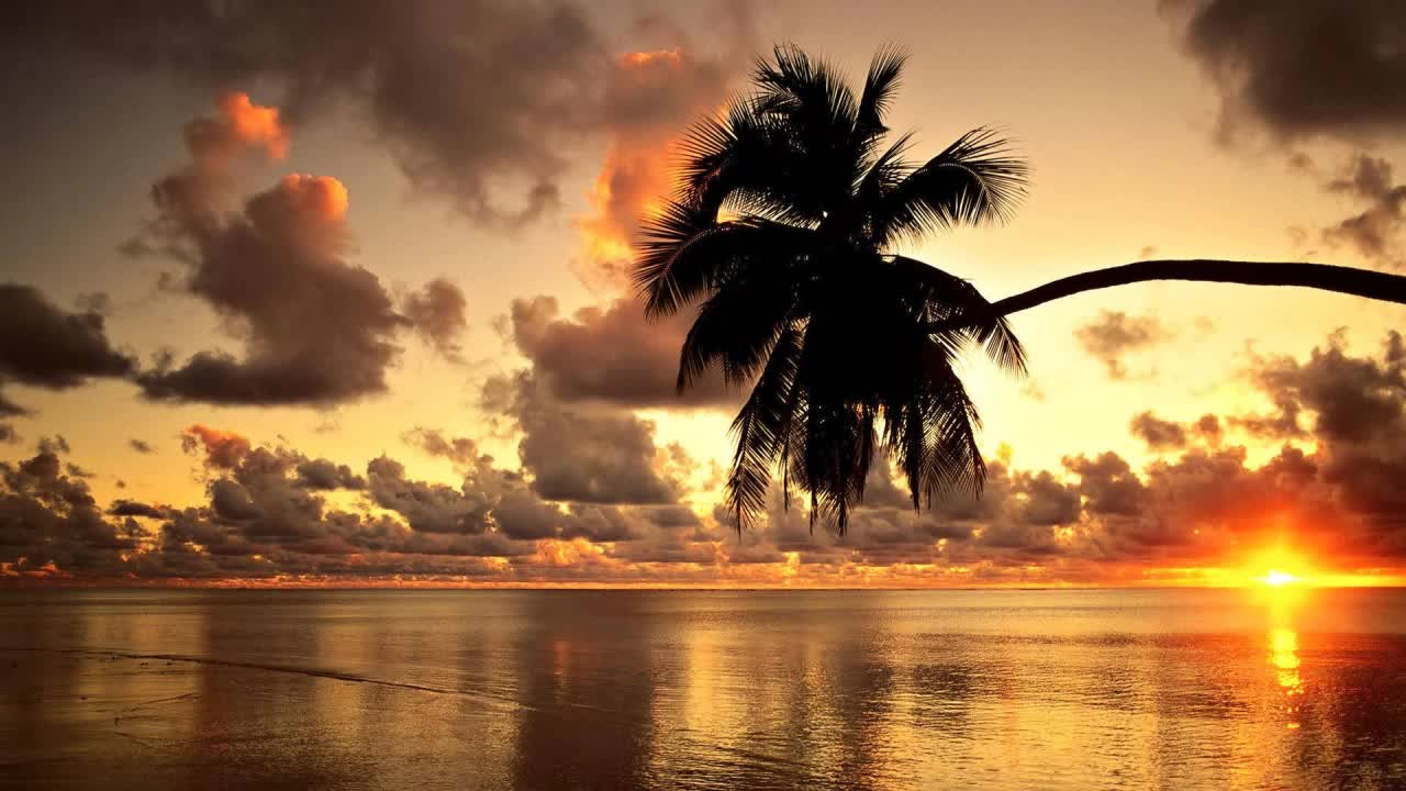 Rewind to Nature Relax To The Ultimate Calmness