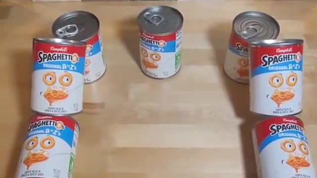 Bee Movie script but with SpaghettiOs