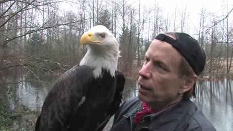 A Visit with Freedom - A rainy day in Arlington, WA