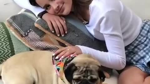 Doug The Pugs Cuddliest Moments with Celebrities