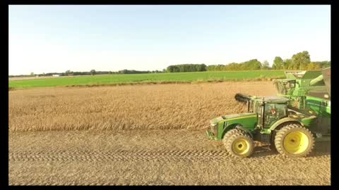 Harvesting Soybeans This Time