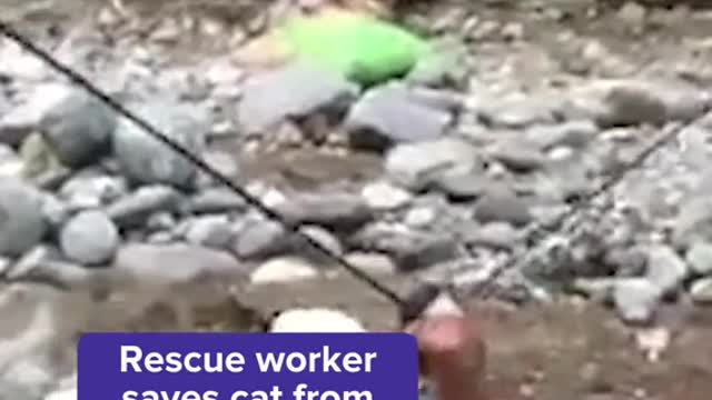 Rescue worker saves cat from floods in Pakistan