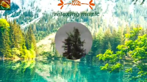 Relaxing Music | Sleeping, Meditation, Stress Relief | [6614] ⭐️