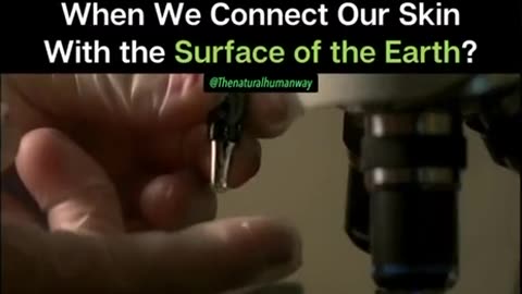 Grounding ~What Happens When We Connect Our Skin With The Surface Of The Earth