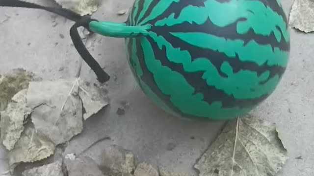 Watermelon balls