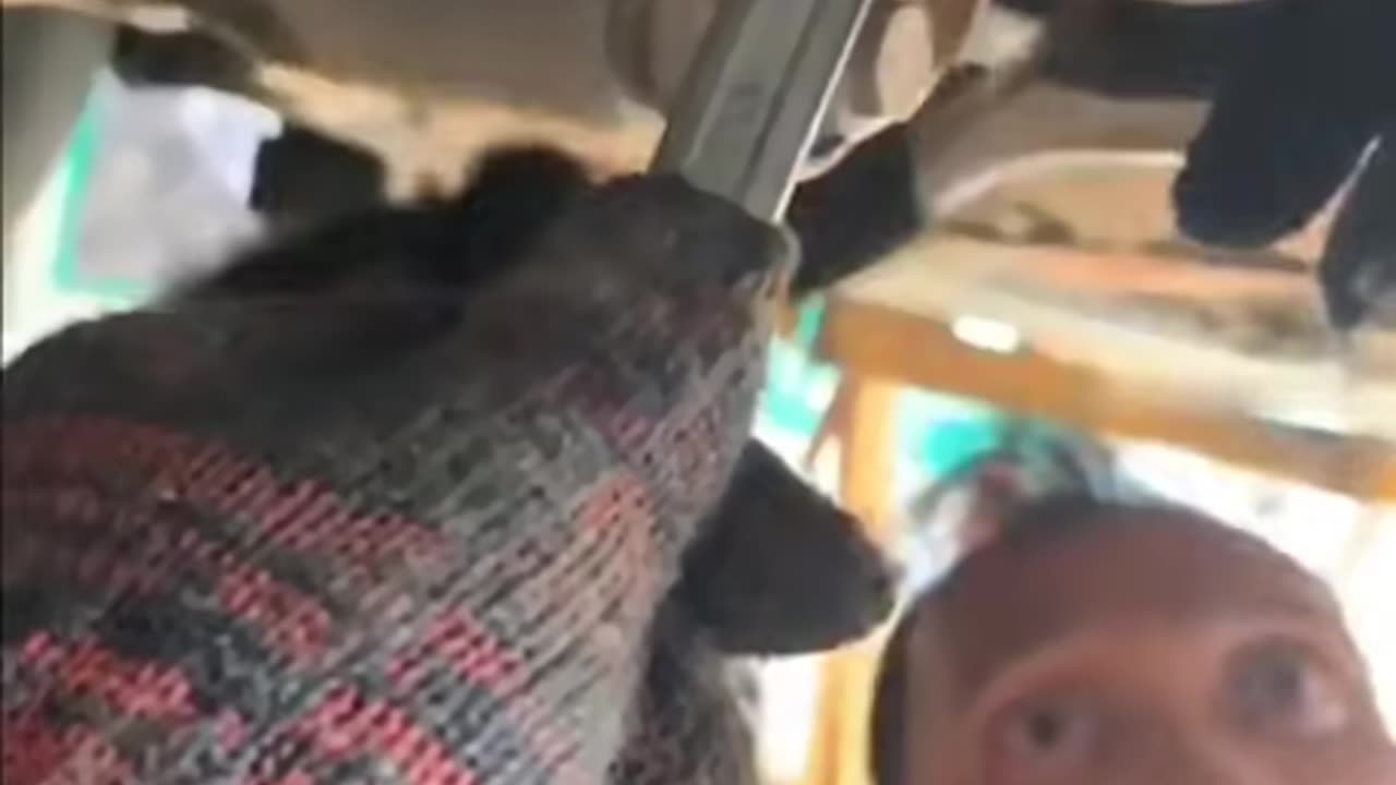 Mechanic's "helper"