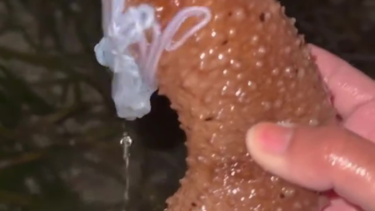 YOU should NEVER grab THIS animal!