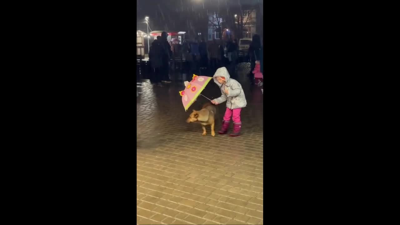 Five Year Old Girl Protects Dog From Rain With Umbrella