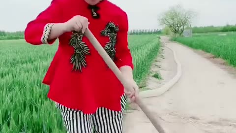 funny video