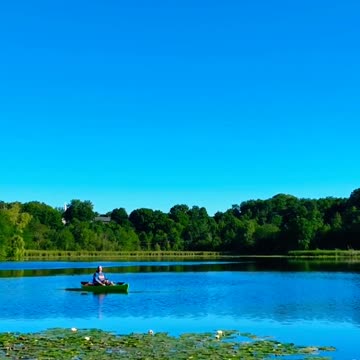 Unlocking the Secrets of Nature's Life-Sustaining Elixir🌏