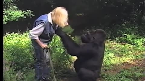 A conversation with Koko