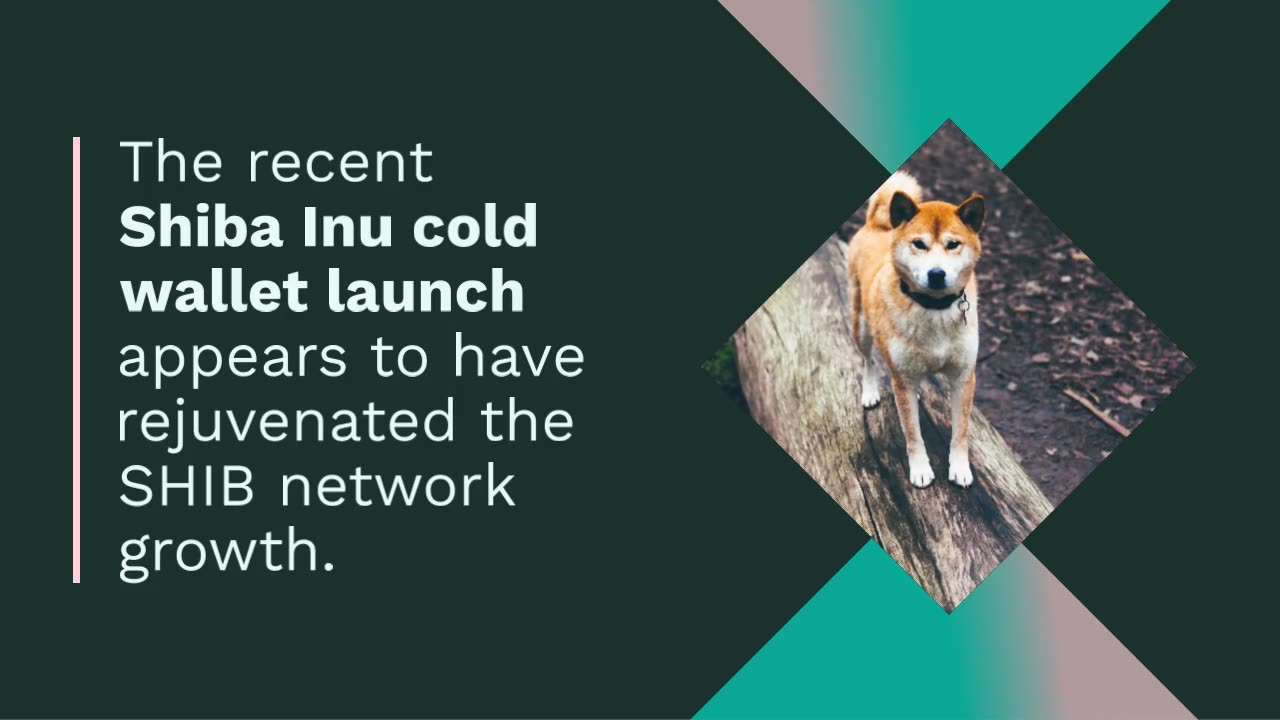 Shiba Inu (SHIB) Gains New Demand: Will it Drive Price Upward?