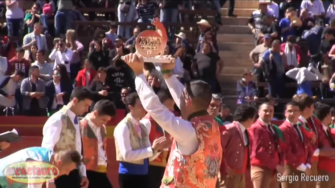 Campeonato toros 'Recortador De Oro' 🎖 · Valencia "Fallas"