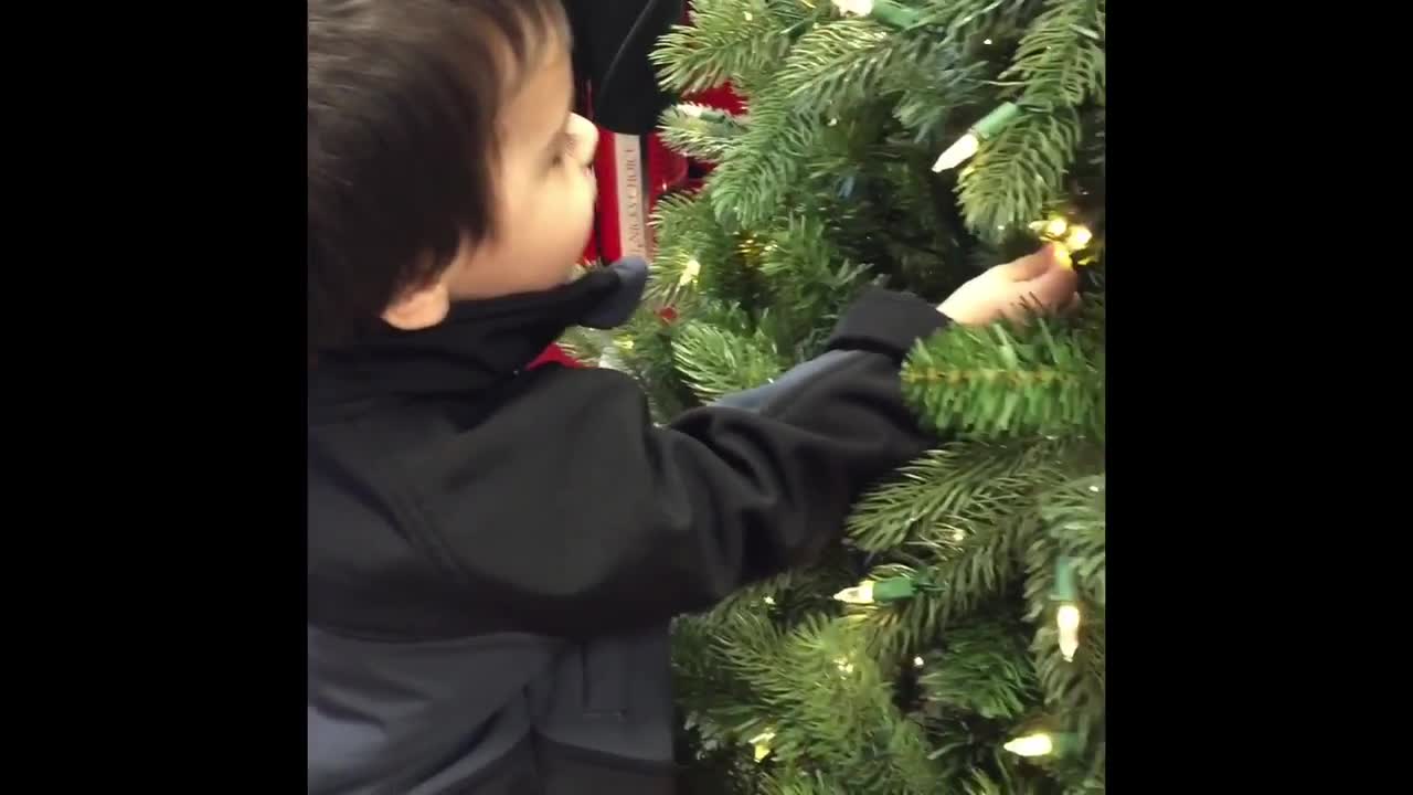 Boy Gets Super Excited For The Holiday Season