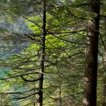 Freedom Cash Geocaching Paper Wallet - Path Near Lake