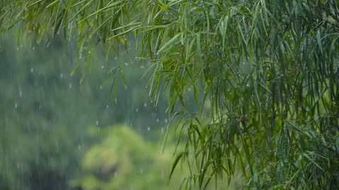 Relaxing heart with the rain