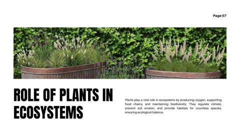 Understanding the Importance of Plants