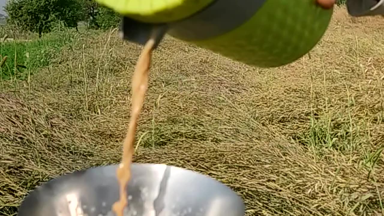 Tea lovers #short #shortvideo