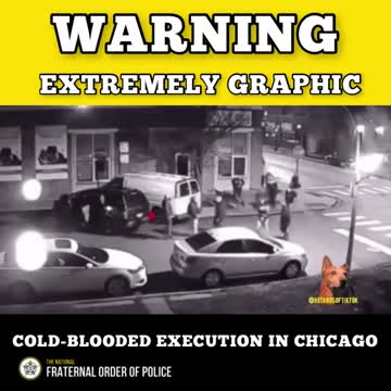 Graphic: cold-blooded murder in Chicago