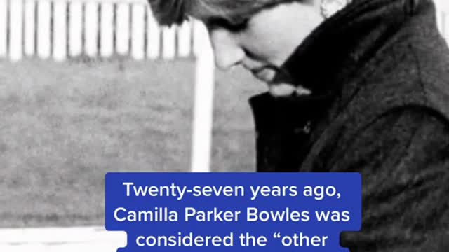 It's a remarkable rise for a woman who was once one of the most derided figures in Britain。