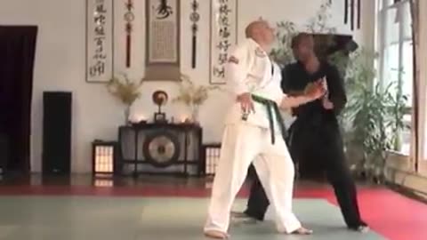 World Martial Arts Center Brooklyn N.Y.