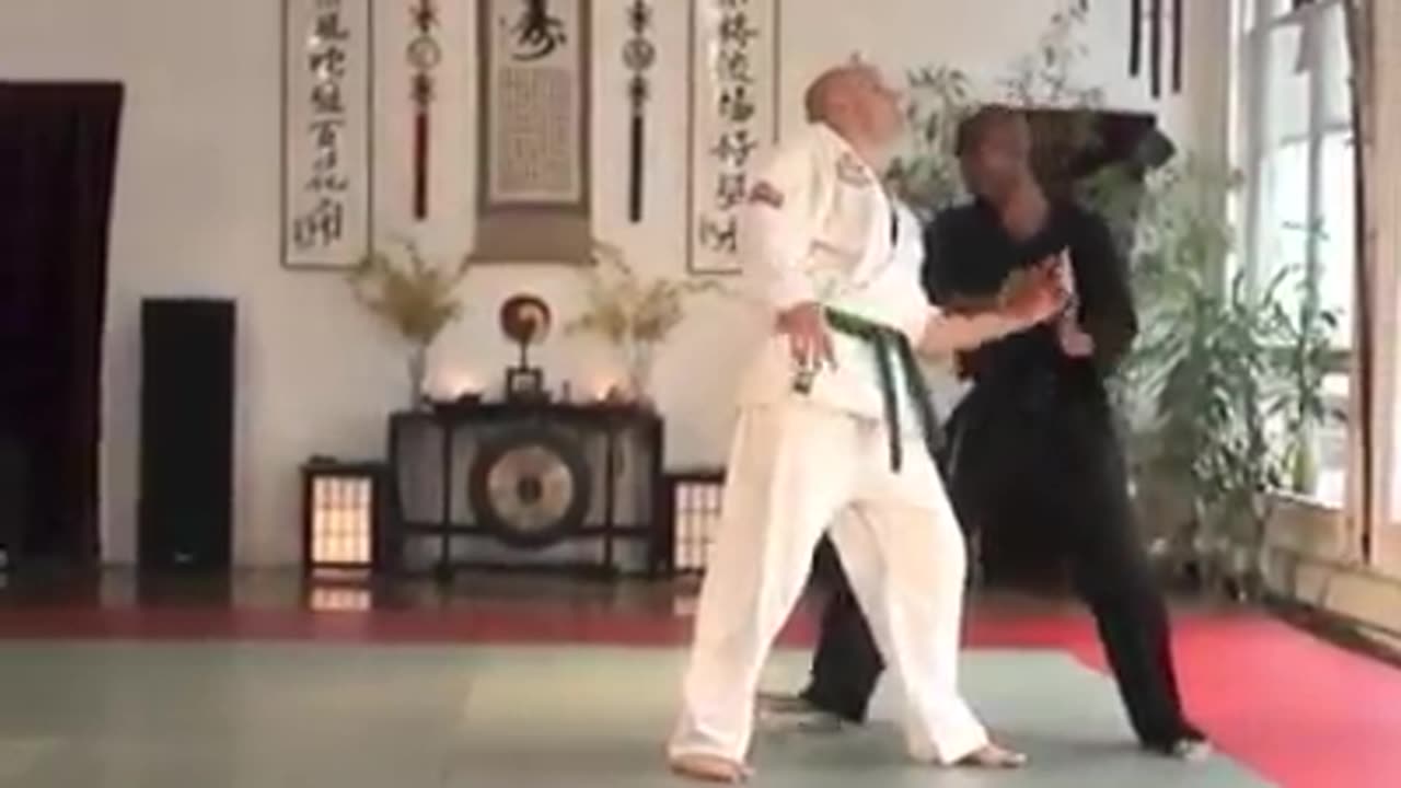 World Martial Arts Center Brooklyn N.Y.