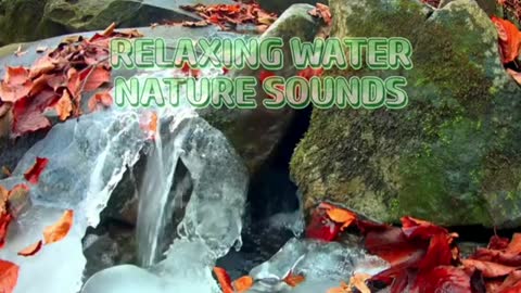 Relaxing Music | Sleeping, Meditation, Stress Relief | [6495] ⭐️