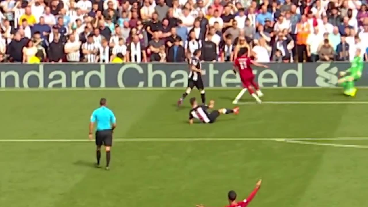 CELEBRATING BEFOER EVEN SCORING MAGICAL