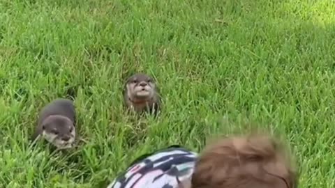 Baby Playing With His Pet Friends