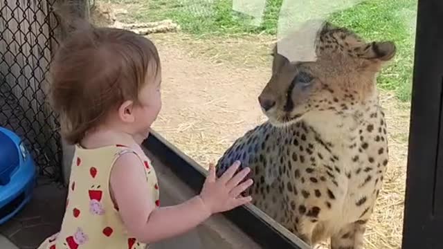 Ele: quieto lanche