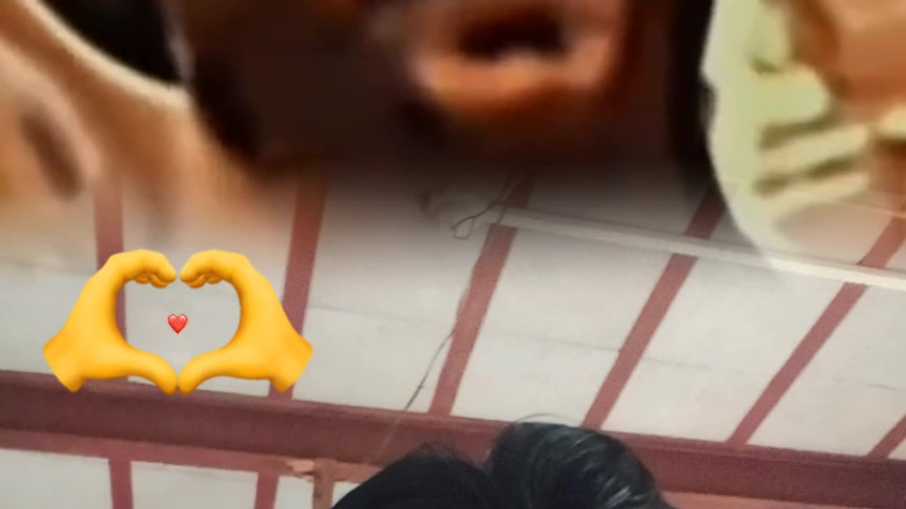 Shortcut, short stories, trending