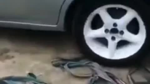 They want to continue the insanity 😂😂😂