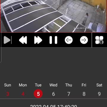 Skelms arrested after they try to rob Rylands aunty in her driveway