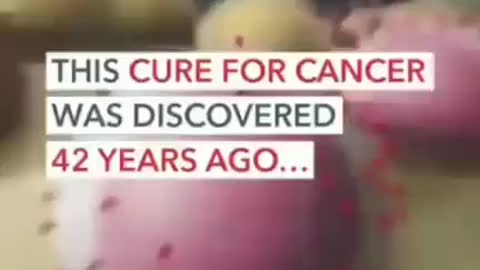 Cure for Cancer was discovered.