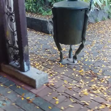 29.12.2023 Random Kuranda