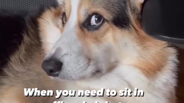 When you need to sit in your office chair but your