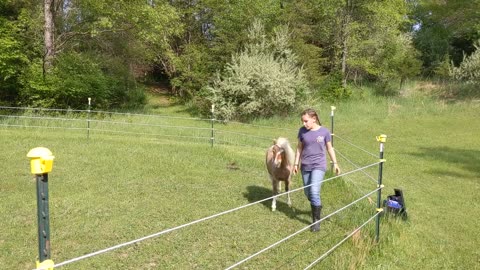 Follow your master at Liberty - Nora (10) and Elle (nearly 1) - 15 May 2023