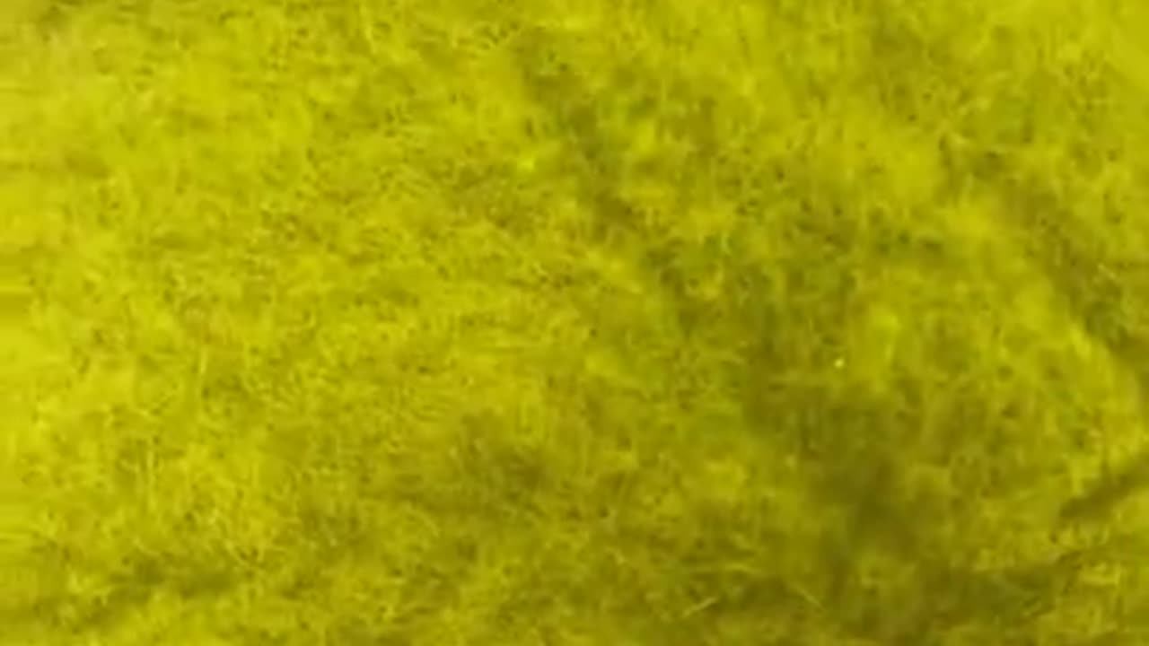 #cute funny cats2022 #viralvideos#youtubeshorts#mubazz world#shorts