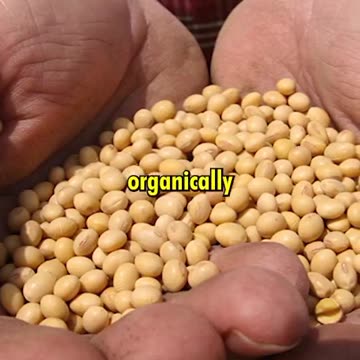 USA VERSUS RUSSIA ON FOOD AND KILLMECALS