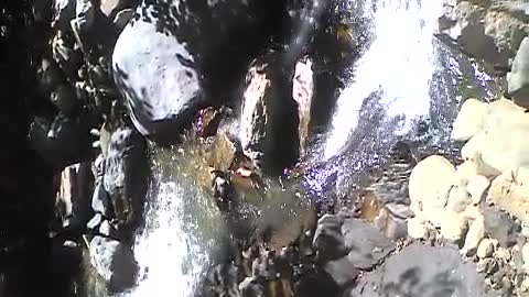 The sound of a forest stream