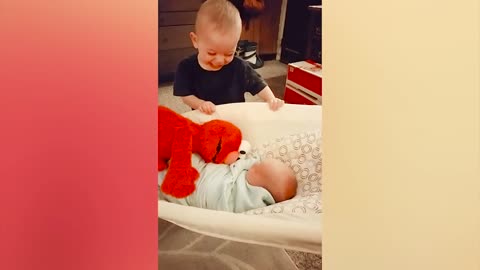 Funny Siblings First Meeting Newborn Baby #2 - WE LAUGH