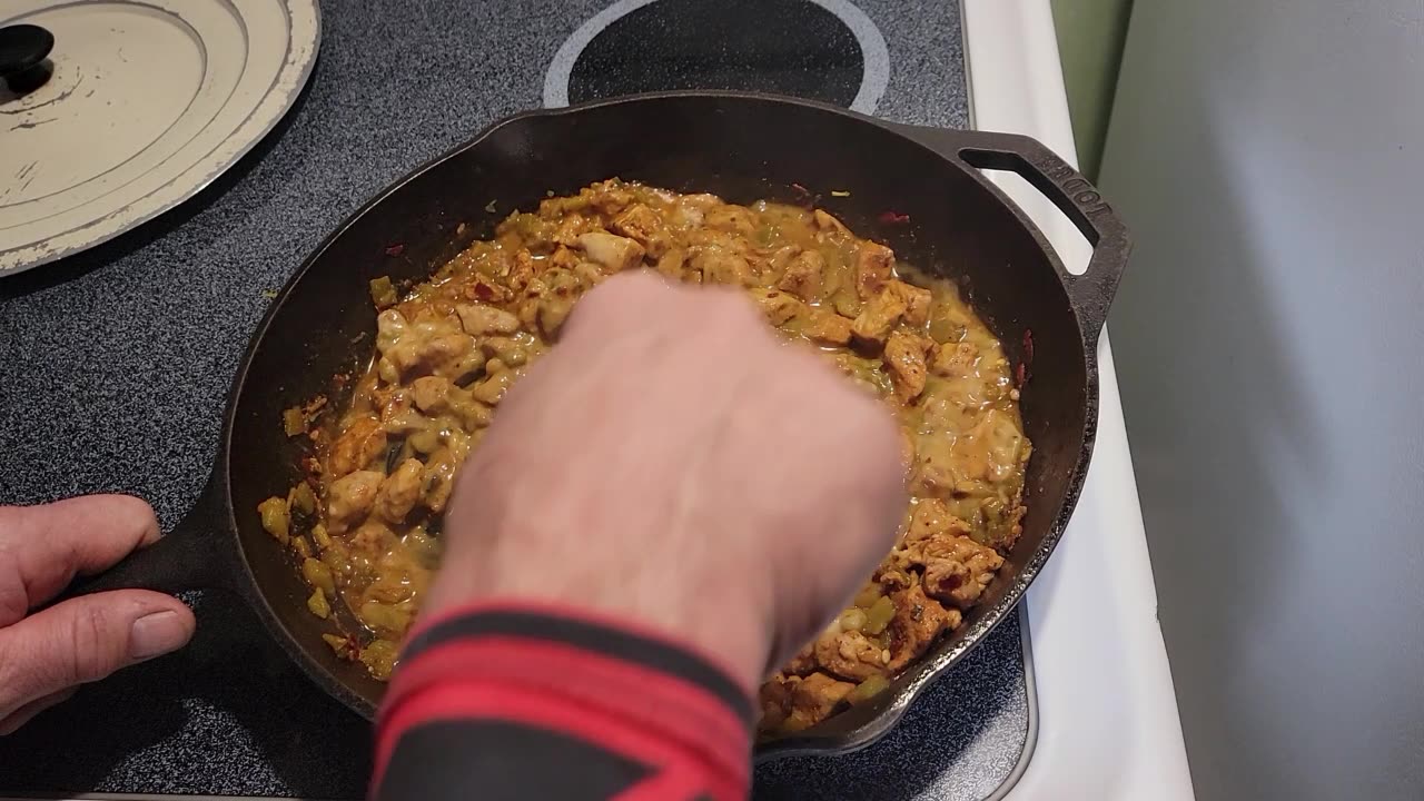 MAKING PORK CHILI VERDE