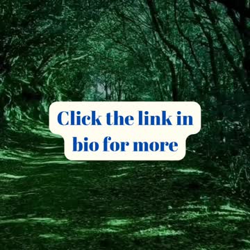 Manifest your thoughts