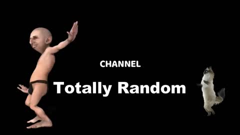 Totally Random #12 - funny videos of week