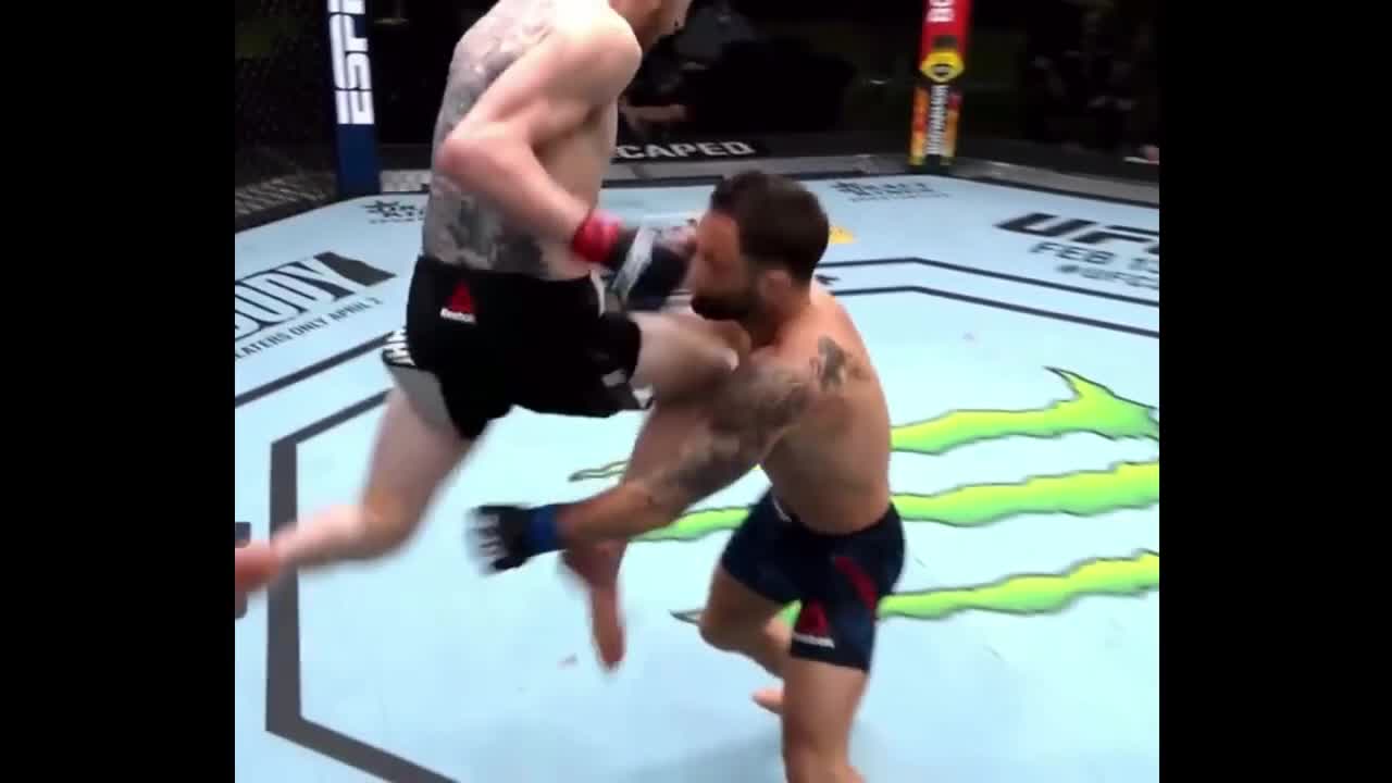 the best knockouts of 2021