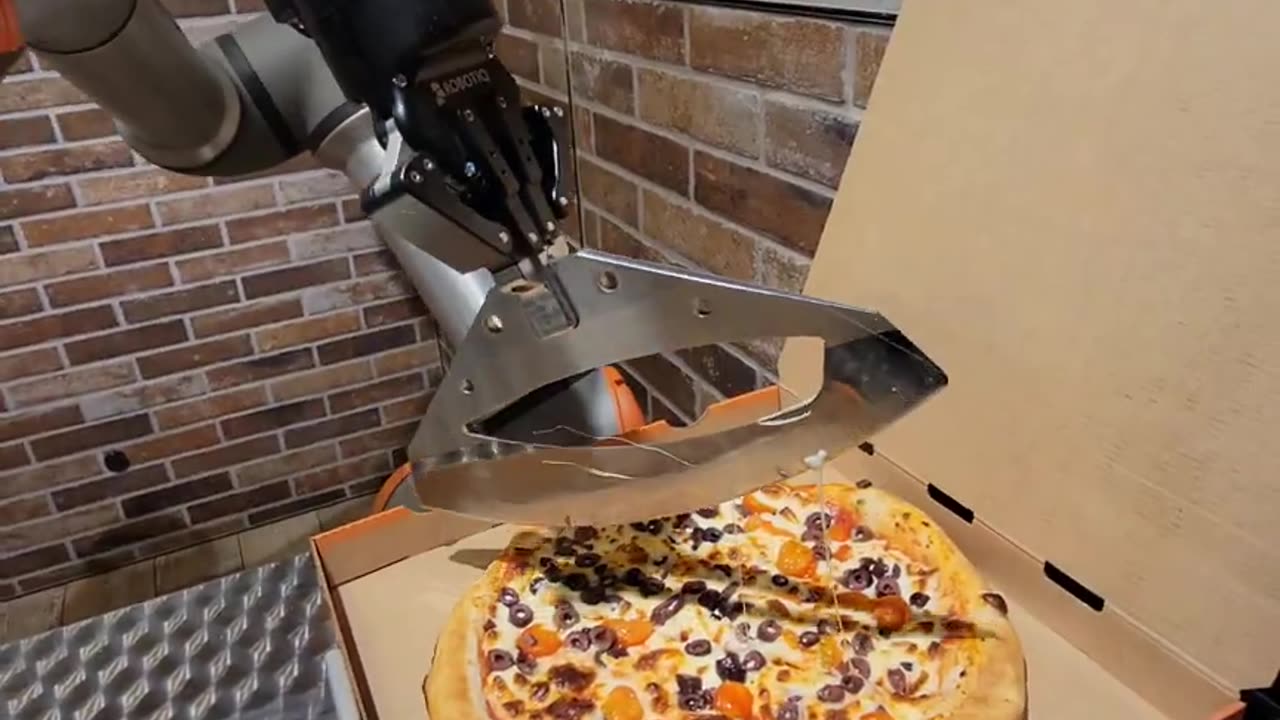 PIZZAIOLO ROBOT