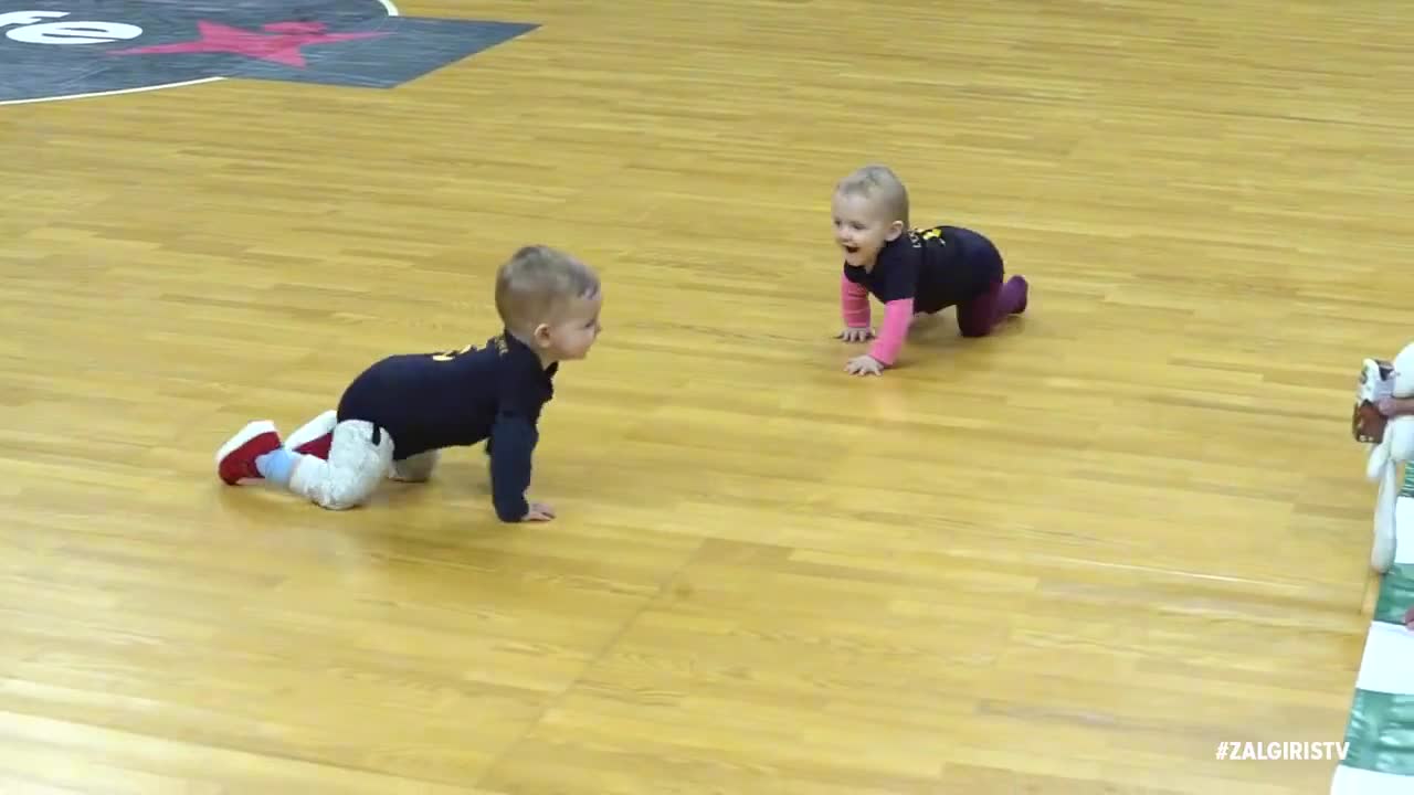 Baby crawling competition started