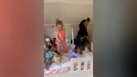 Try_not#to_Laugh_at_These_Funny_Dog_Videos_😽😻