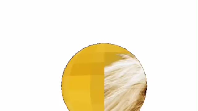 Dog Rotation Gif 🐶